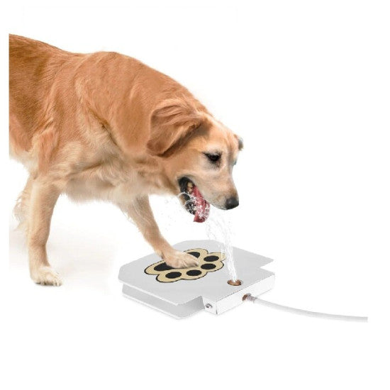 Поилка за куче