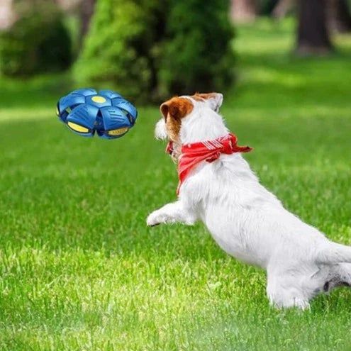 Doggy Disc Ball - Преносима светеща летяща топка играчка