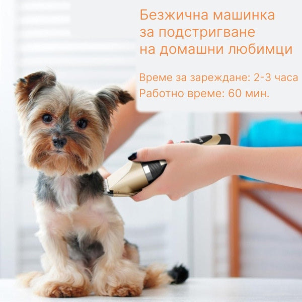 Комплект машинка за подстригване на домашни любимци | GULAMACHINE