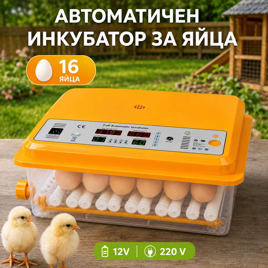 Автоматичен инкубатор за яйца, 16 яйца, 12V/220V