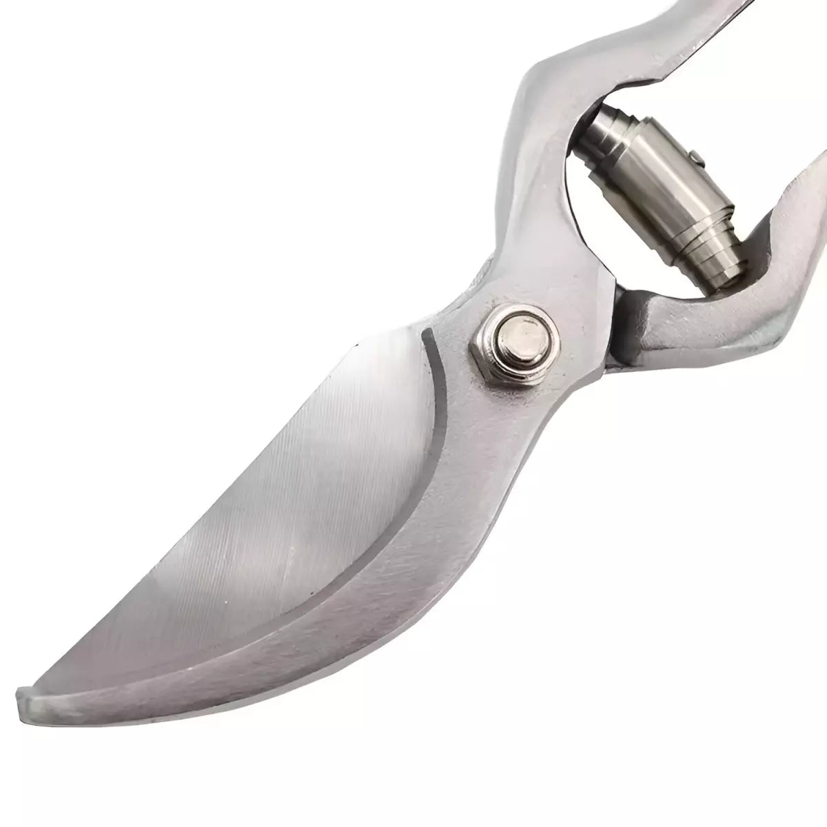 Лозарска ножица