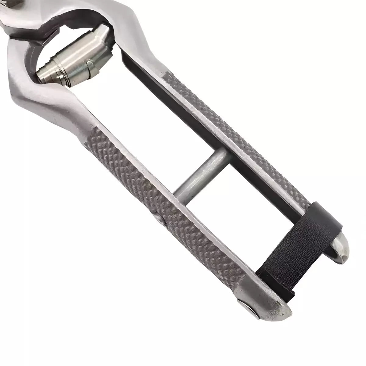 Лозарска ножица