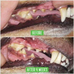 Зареждане на изображението в браузъра на галерията, Кучешка четка за зъби – Предотвратява стоматологични проблеми - Oferti4ka.com
