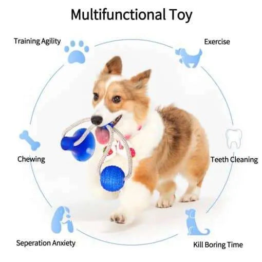 Занимателна играчка за кучета - Oferti4ka.com